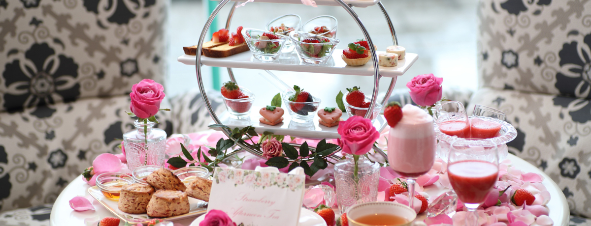 ze XC[g_˃n[o[huoO閣f̃Xgx[At^k[eB[v