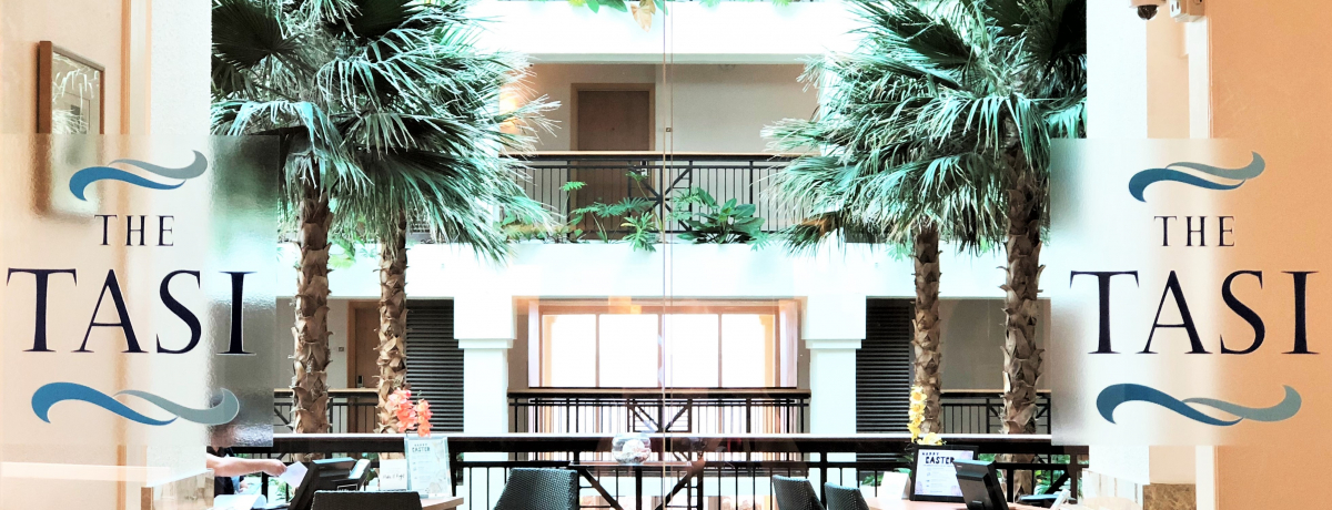 �O�A���̑�l���]�[�g�I�q���g���O�A���uTHE TASI�v