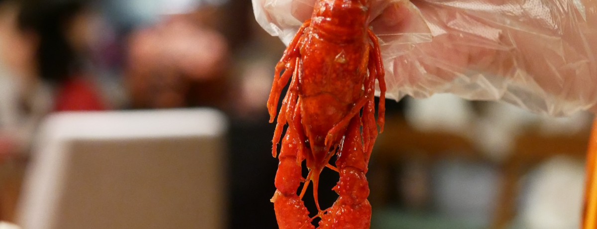 �����ŗ��s�̃U���K�j�������u�U�E�|�[�g�}���E���b�c�J�[���g����C�v�ŁI