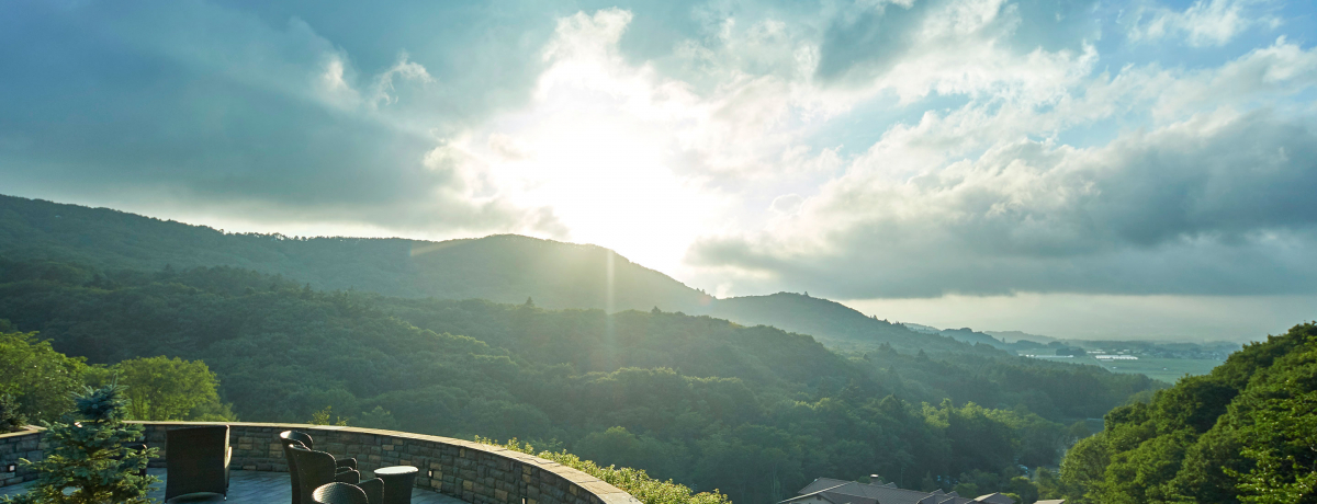 uOyze][gvL7؂̐XŊXgXt[̑؍