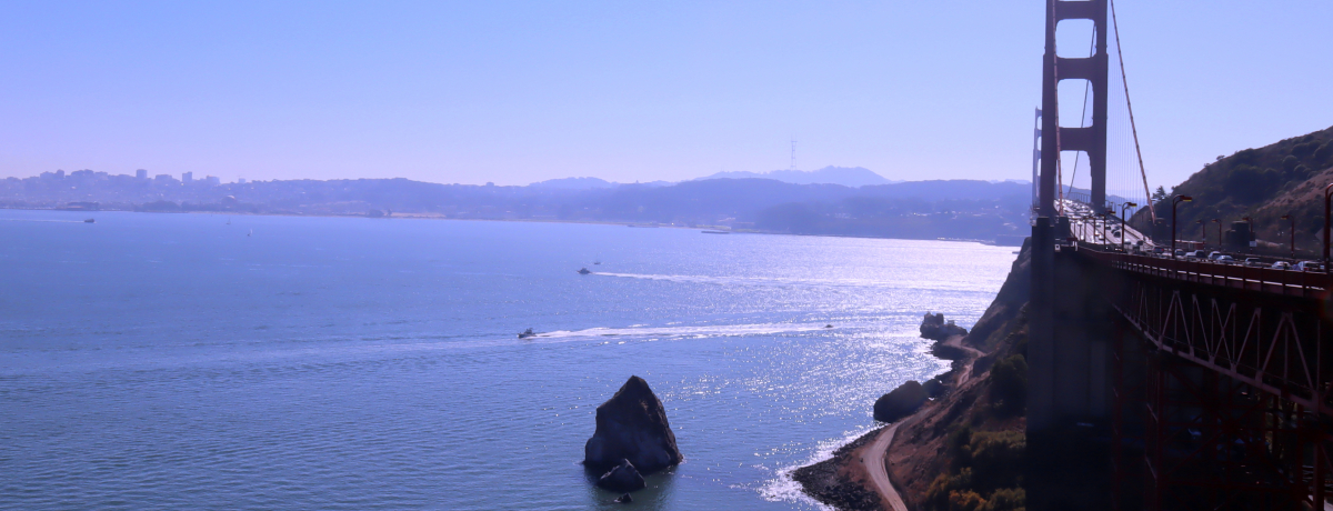 �T���t�����V�X�R����T�E�T���[�g�ւ̃v�`�g���b�v���ʔ����I