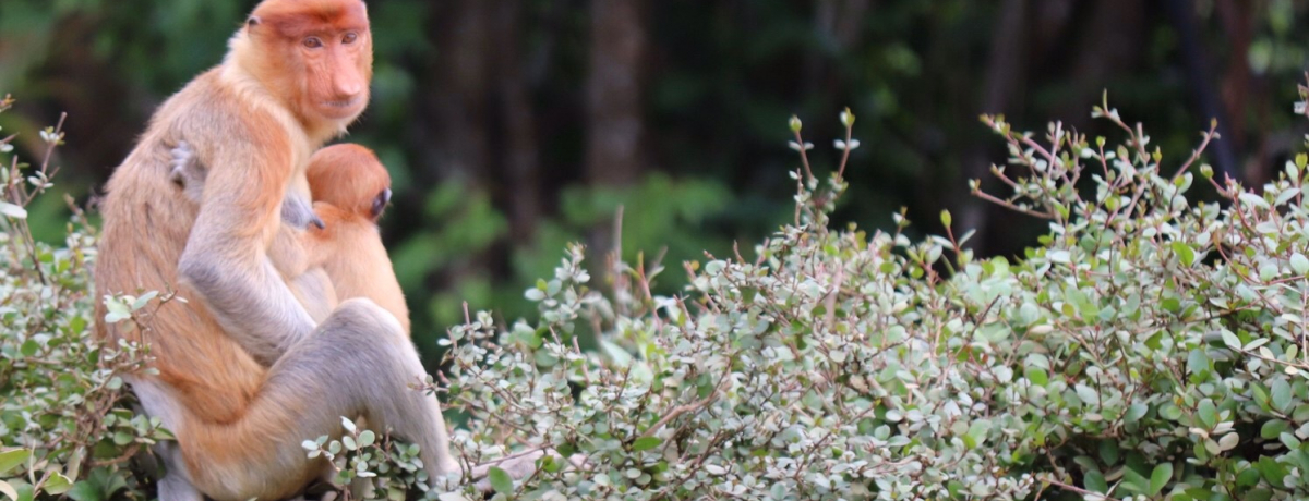 ulCŃ}O[u𖞋iIeOUɉɍs