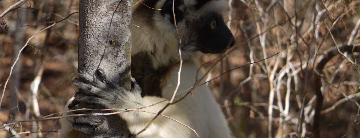 LclŮyI}_KXJuLfB[Xѕیv