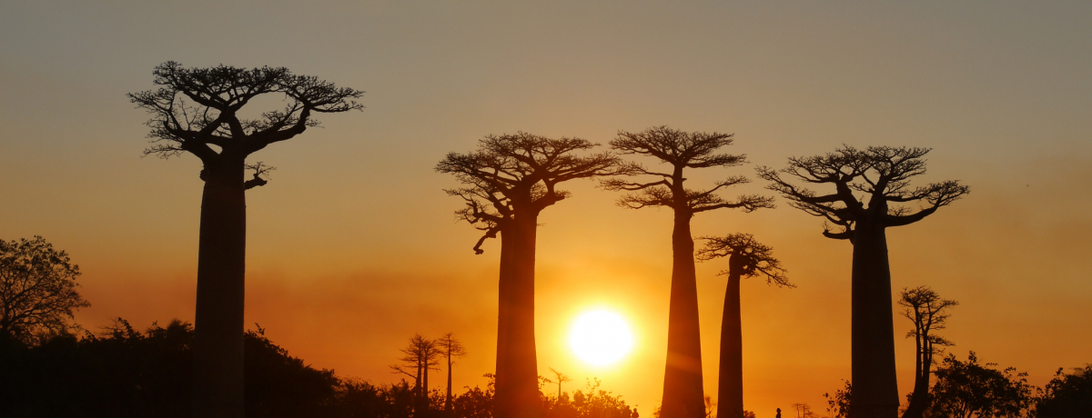 _̋؂ɕiTZbgI}_KXJuoIouؓ̕v