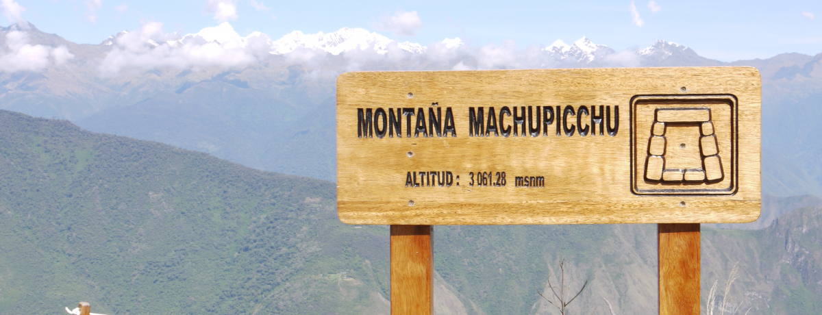 �y���[�Ń}�`���s�`���R�o�R�I�}�`���s�`���̑S�e�𒭂߂��i�̐��E��