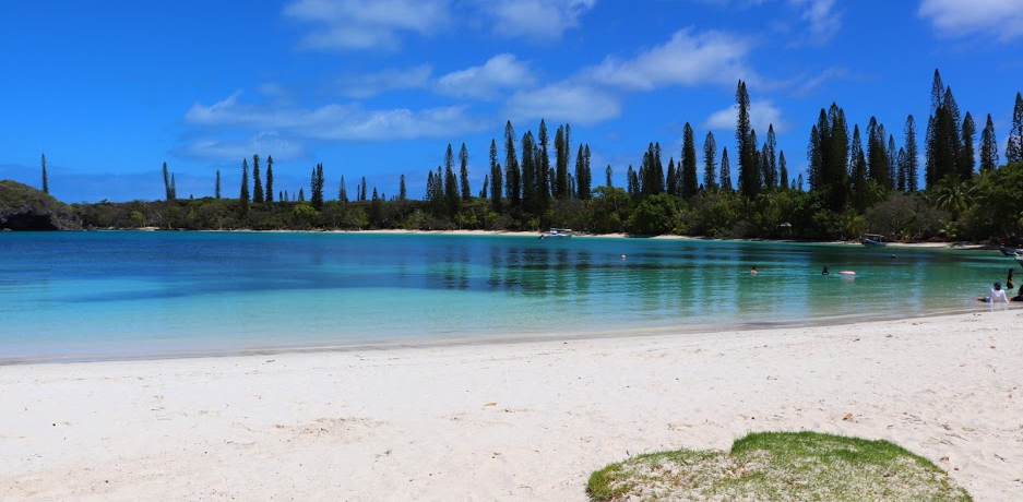 EỸTSʁ~i̊CICfpuJkr[`v