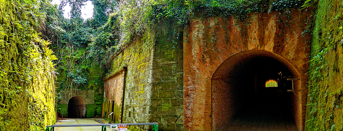 ���s���^�������p�ɁH���{��u�����v���t�H�g�W�F�j�b�N