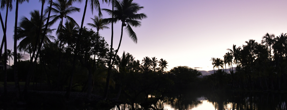 VɎ肪͂uInCu}Eijvŋɏナg[g̗