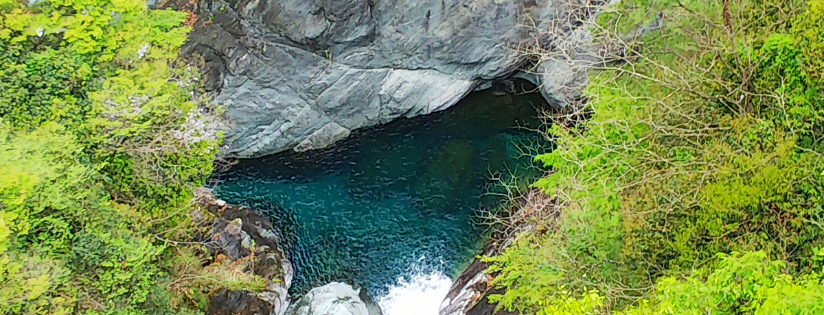 �m��ꂴ�鍮�ɂ̐��i�F�I���Q�������s�u�~�C���v��������