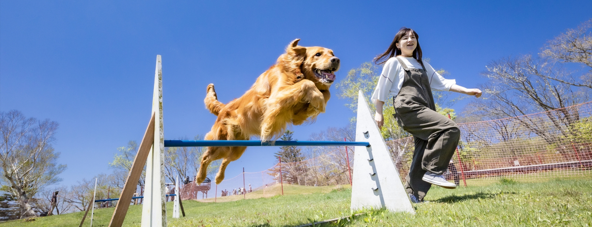 Ɗyށuߐ{ShvSEccWEEgtƎlG܁XIi\̗