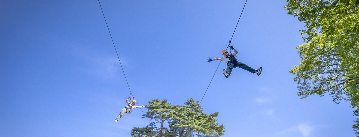 uLsOp[NvŃLv؍݁ANeBreBOI