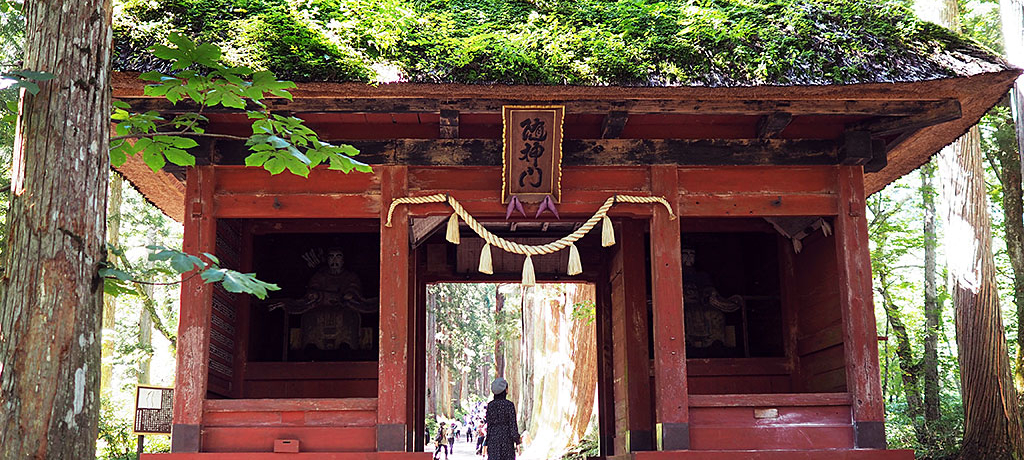 uˉB_Ёv܎Џ̉vɂ߂Rc`I