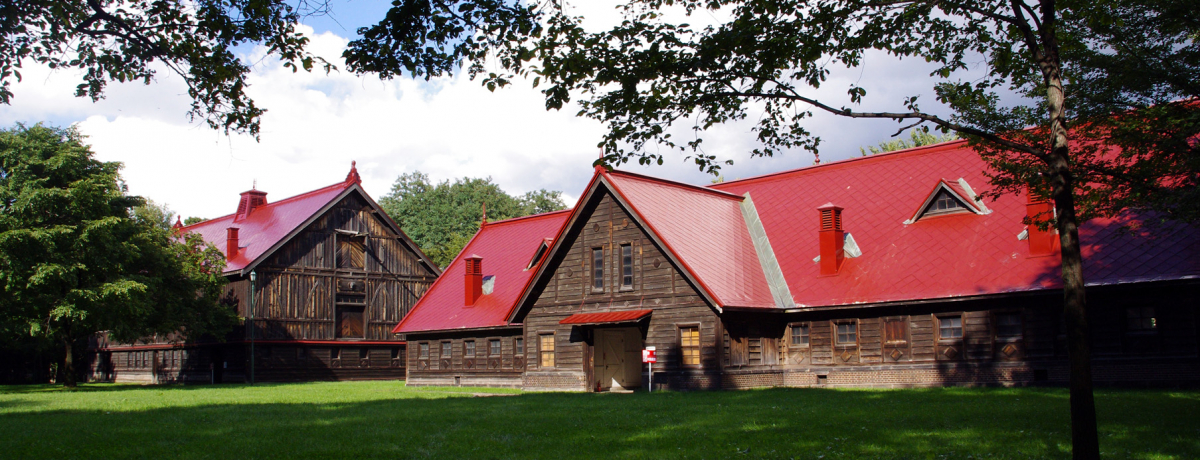 �܂�ŉf��̃����V�[���I�F�ʖL���ȁu�k�C����w�v