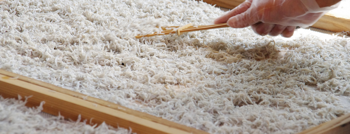 l̒VNȏÓ삵炷TBquyہv