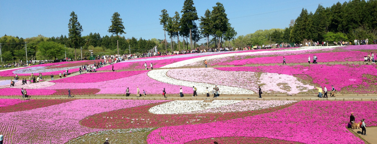 Np[UPIō̖A rRuō̋uv