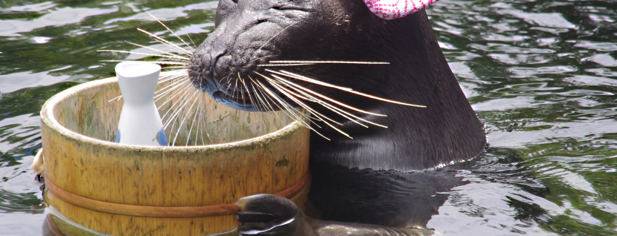 `|Řb蕦!!{ŗBAAUVgr[huفvy_ސz