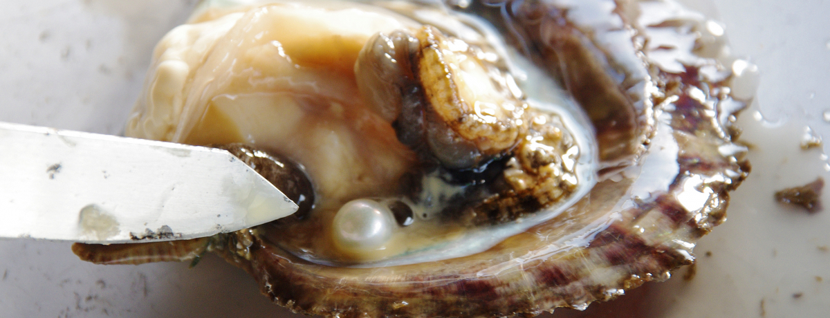 Odɐuu^̗vő̌ÍgAR^oh&g^ANZT[h