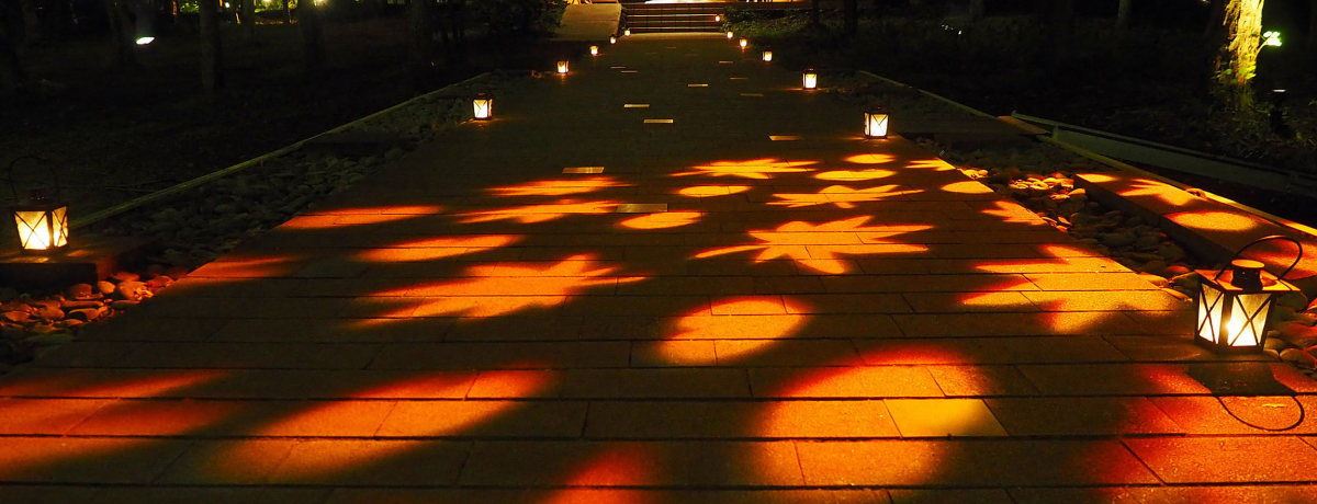 �Ȃ�Č��z�I�I�y��򍂌�����u�H���U���v�ŉ߂����H�̖钷