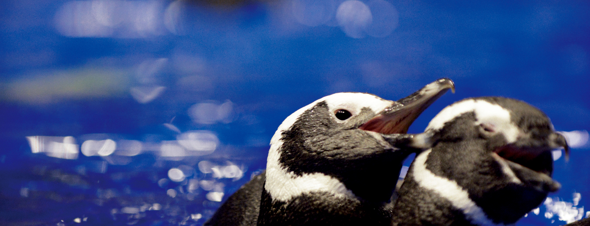 ܂ŒhI݂ق́gyMhNʔI