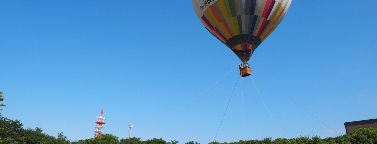 qLOuӂIMČvt@~[ɑlC