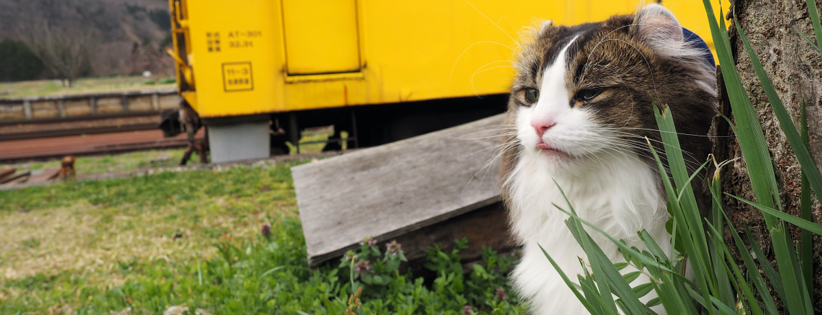 �l�͔L�w���I��ÓS���̓��ځg��ԁh�ɏo���u���m�q����w�v