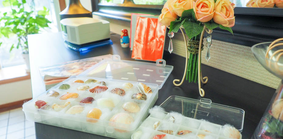 �t�R�Ȃ̂�1��5000�~!?�l�G��y���u�v���[�S�t�R�v�͔��܂�ׂ�������