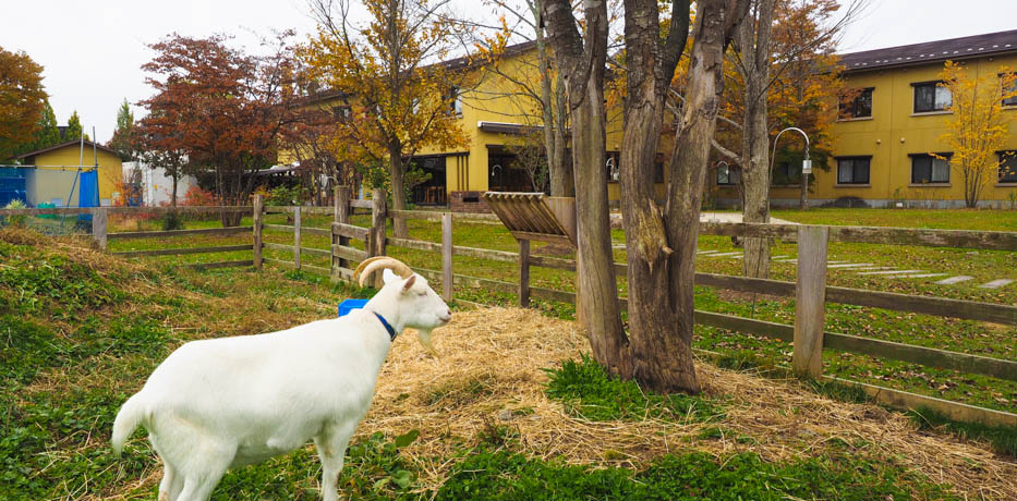 ꂪ{̖IEzetHN[Ԋa͉̓c][g