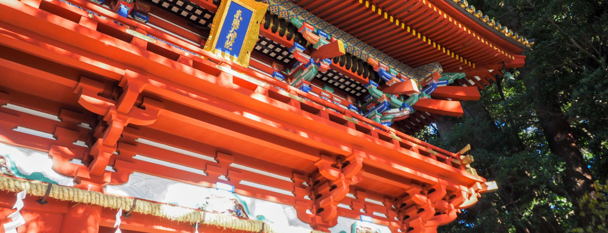 É̍uv\RƋ{vvUP̔IƋ{Ƃ̈Ⴂ