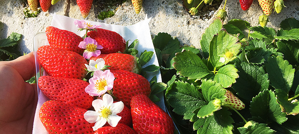 {͔̂|˂̒nAÉugvK˂āI