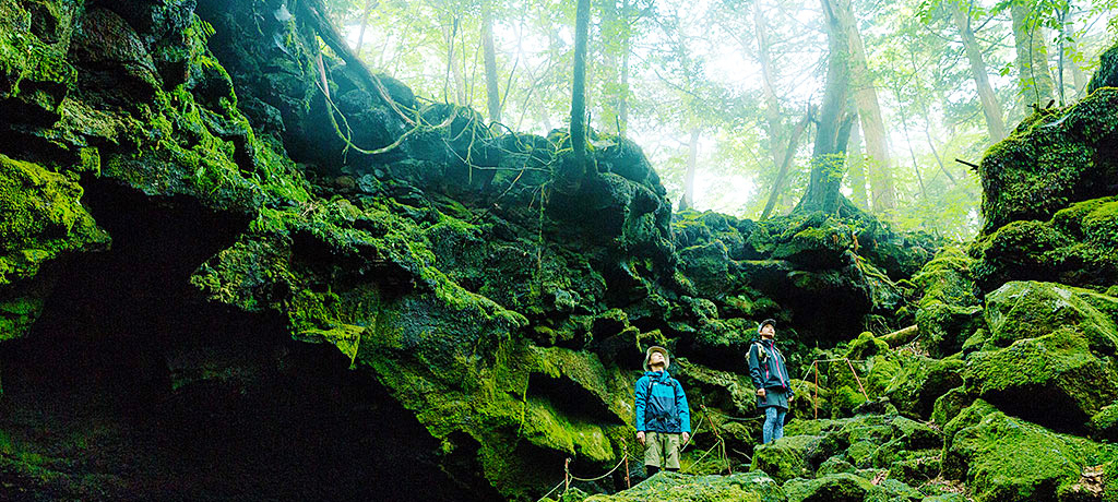 p[X|bg!?xm̎CƗ{cA[Ŗό