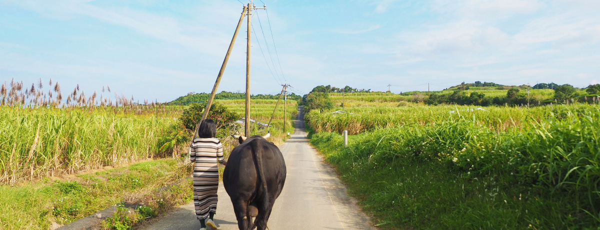 ���V���̂�����Ɖ��������ɖ����ꂽ���I500�N�ŏ��̂ӂꂠ���̌�