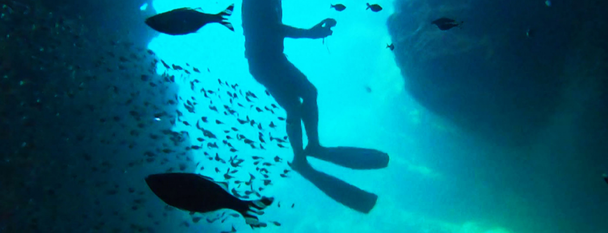 ̓AVm[PO͒NȂŁÎ≫̓ʂȑ̌