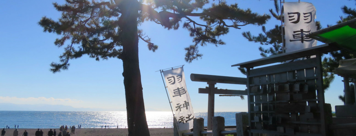 �������p���X�|�I���E������Y�E�����w�O�ۂ̏����x�ŊJ�^�F��I