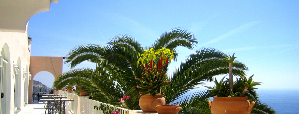 �R�̉��̓V�R����I�C�^���A�E�C�X�L�A���̉��򂪃��C���h������I