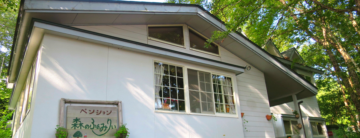 ɋ߂Ix̃yVuX̂ӂ݂股v́Aт劽}