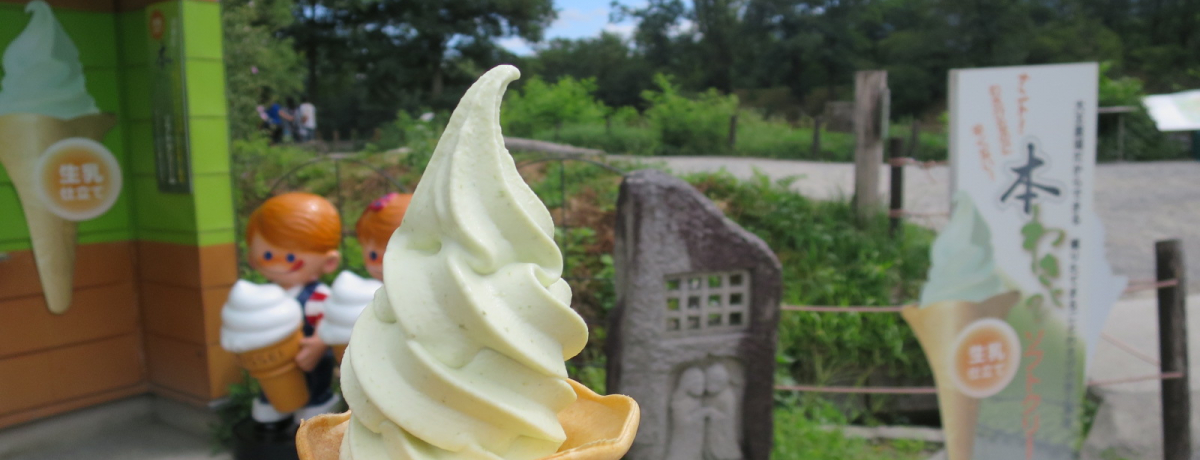 ӖhIȉāHMBEܖu剤킳є_vł킳тÂI