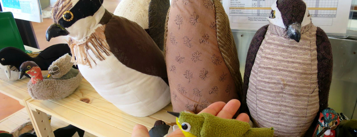 ��l300�~�s�S�̃I�A�V�X�I��c��u�����`�쒹�����v�͐������̃p���_�C�X