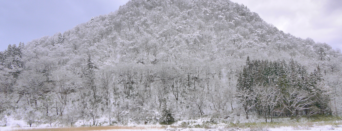 DłsȂlւIuŏM`o}όv͂܂Ƀg[NCu