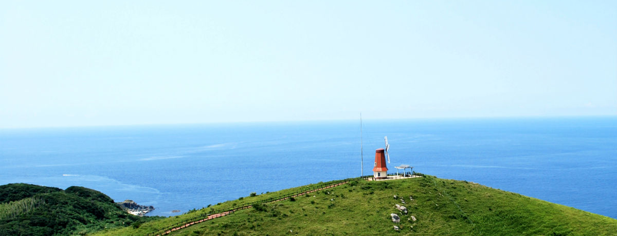 �j�E���E��Y�o�^�I�V�C���悯��Ή��m���������镟�����u�哇�v�̂������߃X�|�b�gBest5