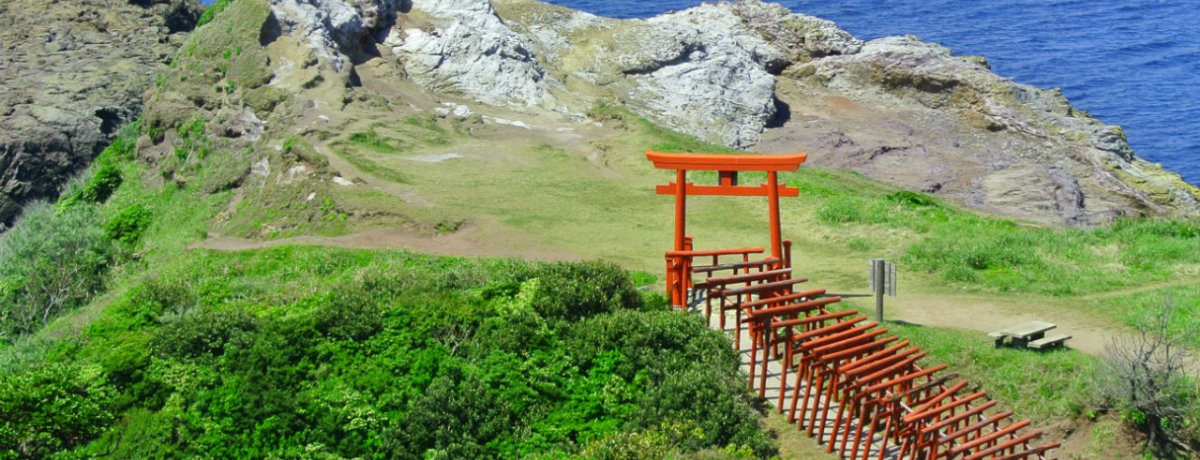 ���{�ň�ԁZ�Z���ɂ����H����s�u���T���_�Ёv�͐Ǝ�̑Δ䂪�����I