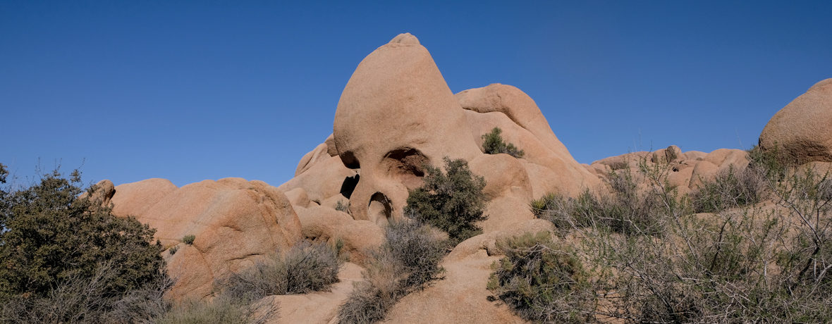 ܂ɁuiEVJṽV[IāEWVAc[͎RA[g̕