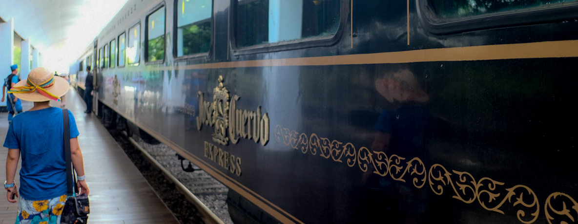 1���e�L�[���O���I���L�V�R�ό���ԁu�z�Z�N�G���{�E�G�N�X�v���X�v