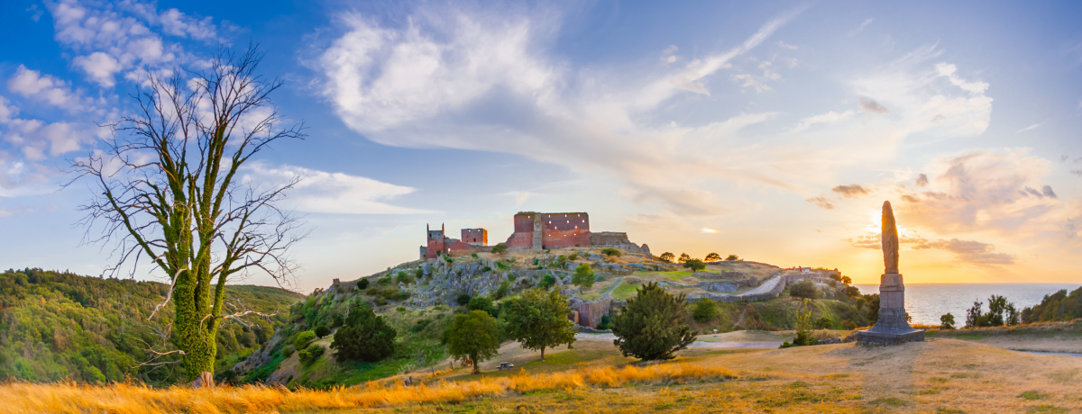 �f���}�[�N�̃��]�[�g�A�C�����h�I�{�[���z�������Ńq���b�Q�Ȋό�