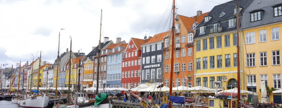 �k����1���ό��I�f���}�[�N�E�R�y���n�[�Q���̉������f���R�[�X