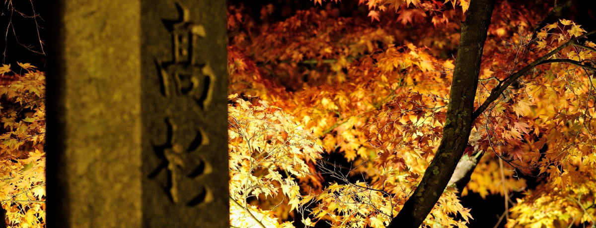 R()̍gtCgAbvX|bgRIEƈႤ̍gtɍs܂!!