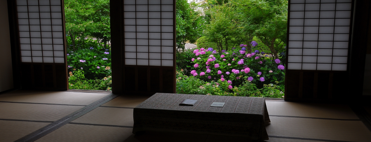 R̂Ϗ܃X|bg߂TI`ł܂R