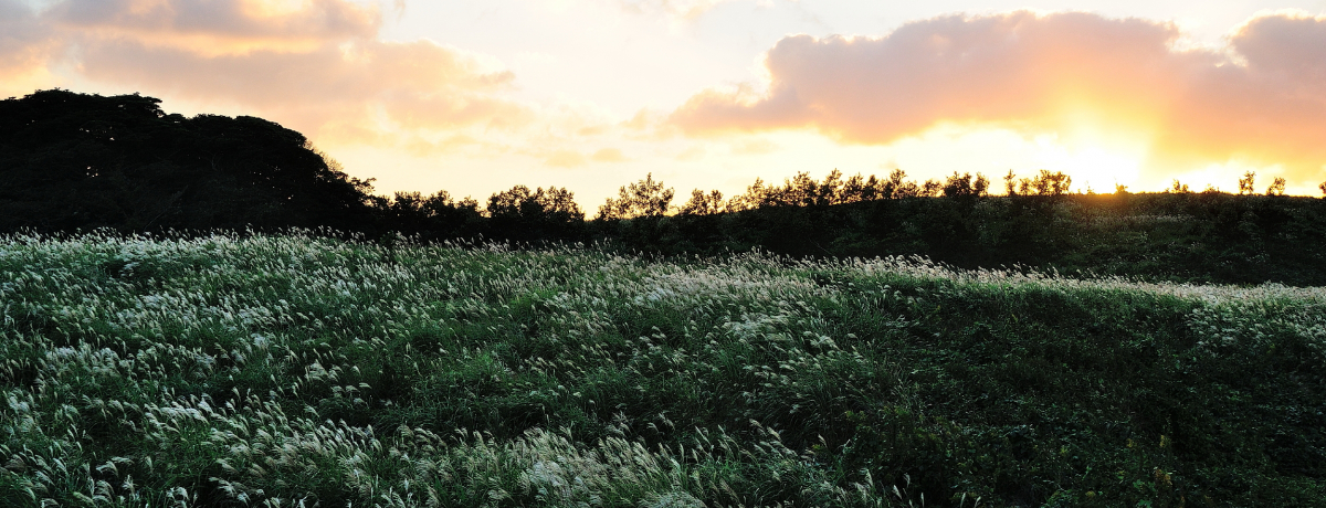 H́uHgv̓XXL̐i𖞋iłD̃X|bg!!