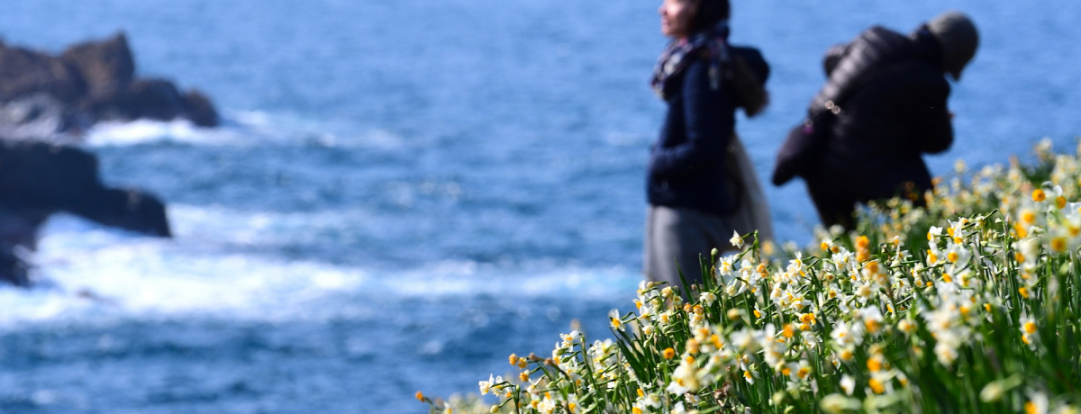 uv{C낷uɍ炭200̃XCZ