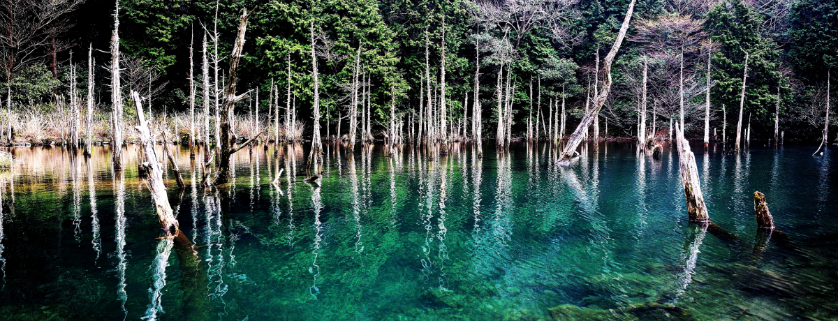 ���ւ̉B���i���b��I�u��̖��������E������r�v�͐_��̃X�|�b�g