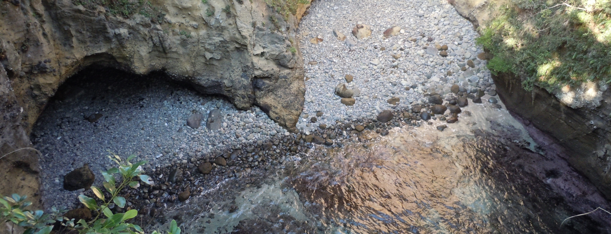 ���R�����肾�����|�p�I�ɓ��ōł��_��I�Ȋ�ρu���{�A�v�`���c�s�c���`